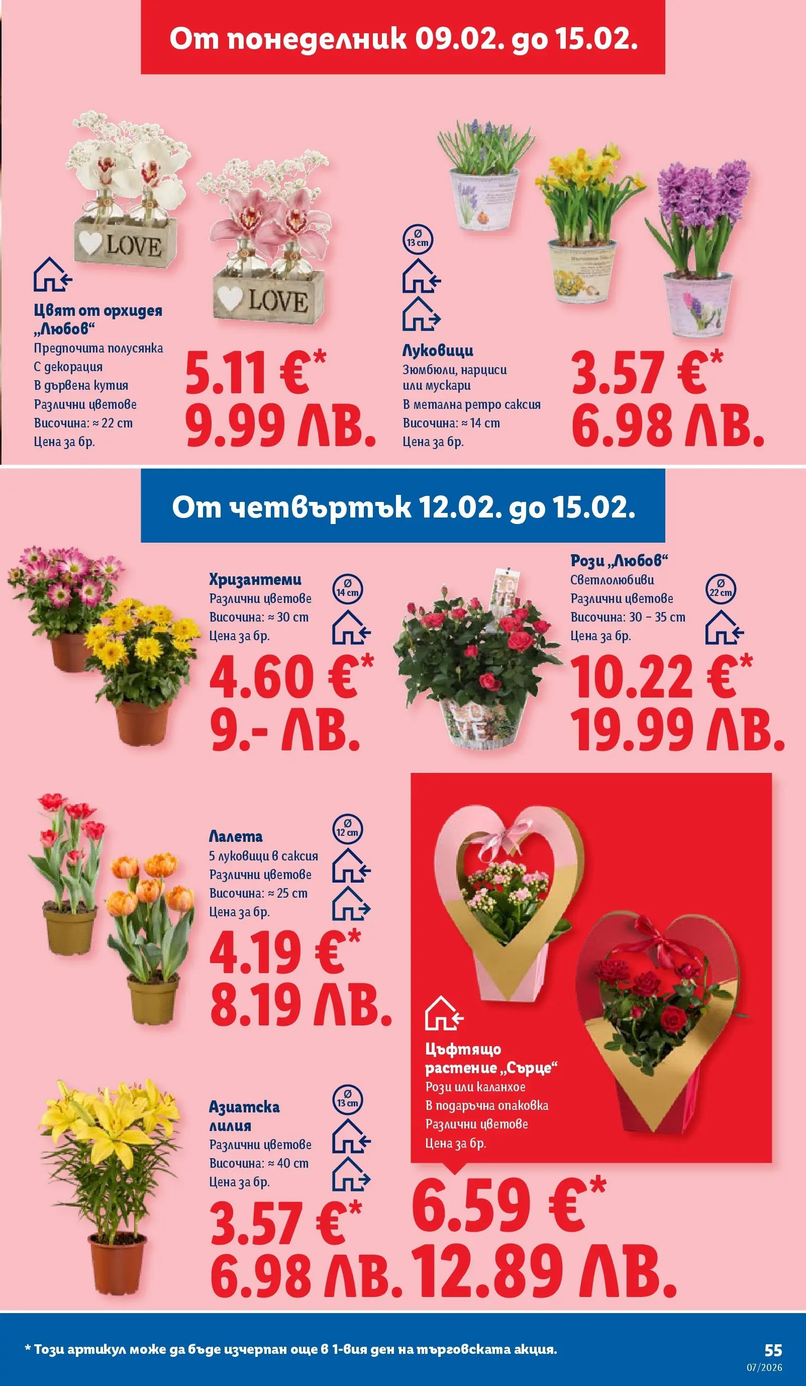 Лидл - XXL оферти в ЛИДЛ с валидност до 15.02.2026 от 08.02.2026 | Страница: 55