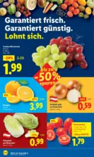 Lidl Lidl - ab 12.02.2026