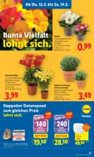 Lidl Lidl - ab 12.02.2026