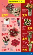 Lidl Lidl - ab 12.02.2026