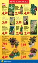 Lidl Lidl - ab 12.02.2026
