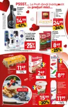 Catalog Profi p&acirc;nă &icirc;n data de 17.02.2026