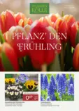 Pflanzen-K&ouml;lle: Pflanz' den Fr&uuml;hling