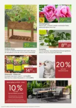 Pflanzen-K&ouml;lle: Pflanz' den Fr&uuml;hling