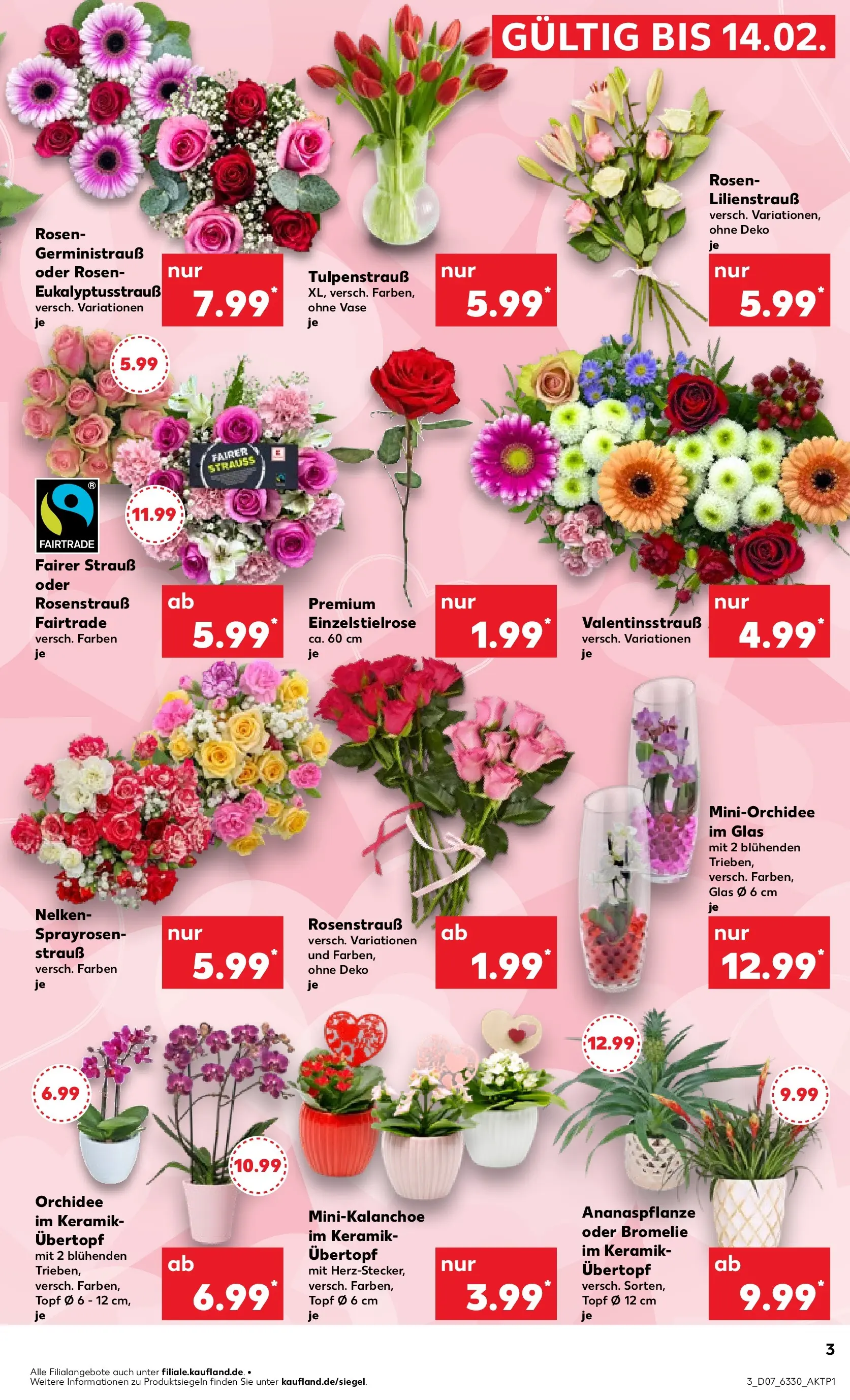 Prospekt Kaufland ab 11.02.2026 » Angebote Online zum Blättern | Seite: 19 | Produkte: Orchidee, Vase