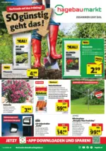 5 T&auml;ler Bauhandels GmbH hagebaumarkt: Flugblatt - bis 07.03.2026