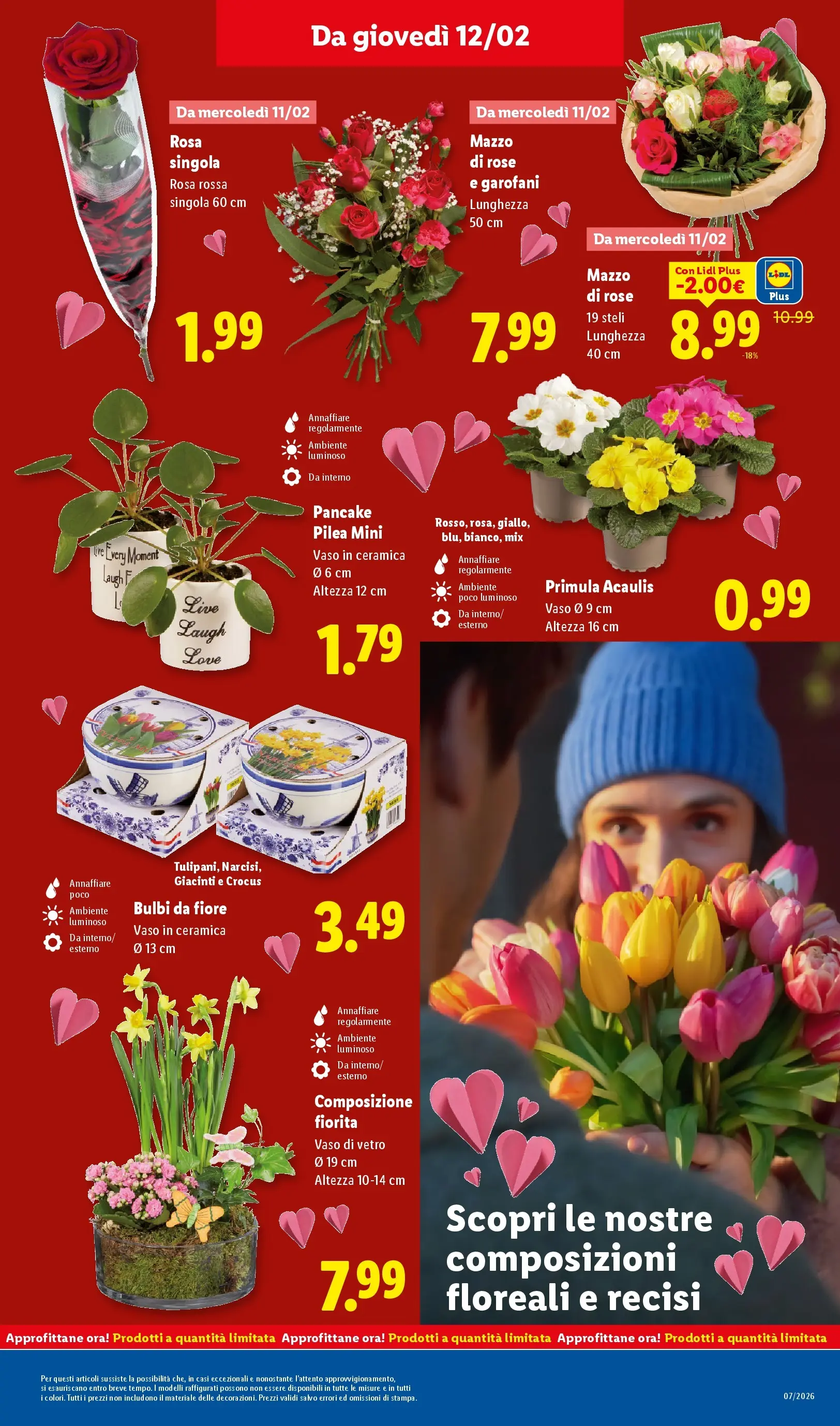 LIDL volantino della prossima settimana dal ﻿08/02/2026﻿ 📣 | Pagina: 37