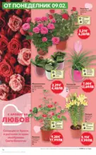 Kaufland хипермаркет МЕГА оферти в твоя Kaufland с валидност до 15.02.2026 - от 09-02-26