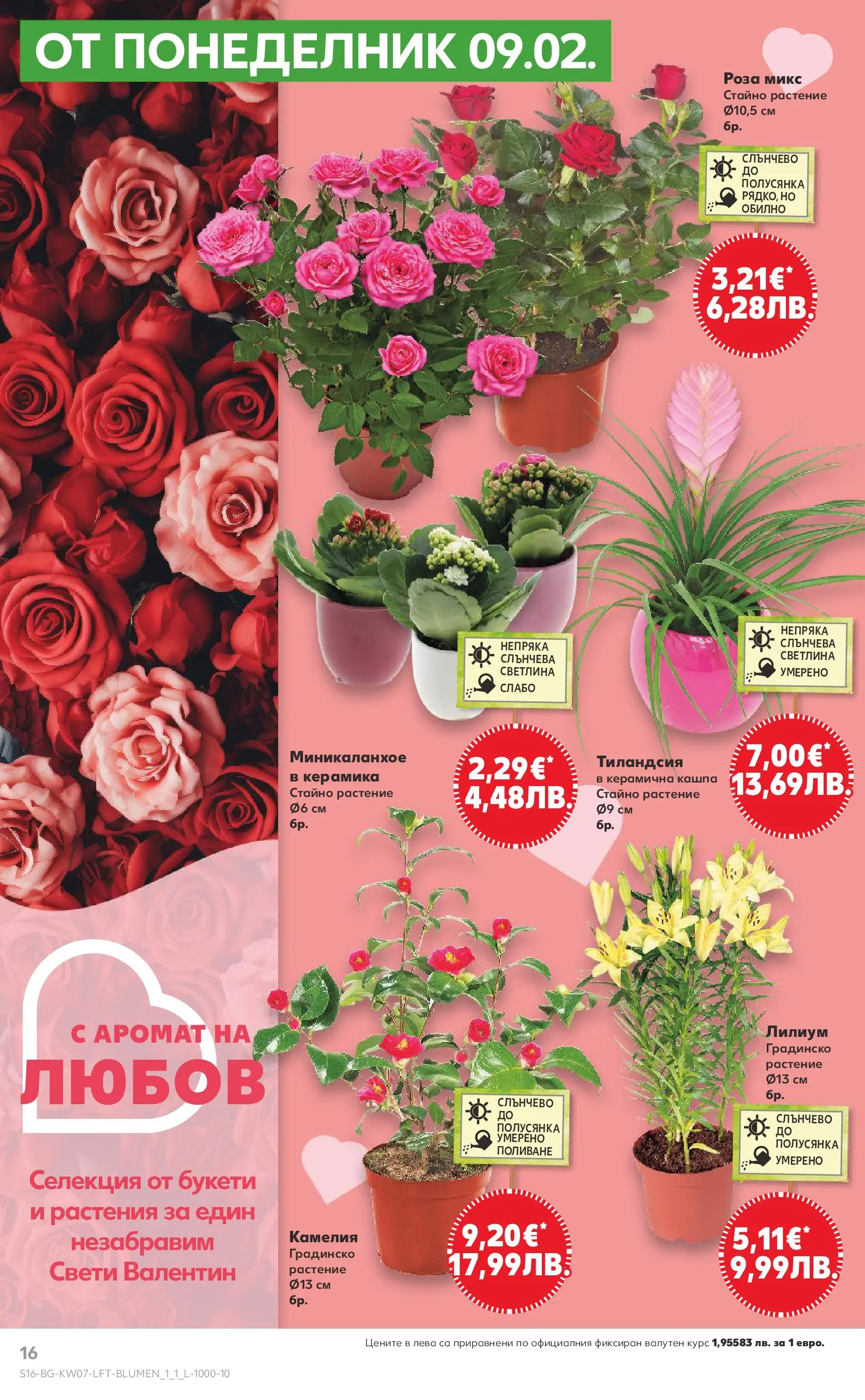 Нова Кауфланд - МЕГА оферти в твоя Kaufland с валидност до 15.02.2026 от 08.02.2026 | Страница: 16