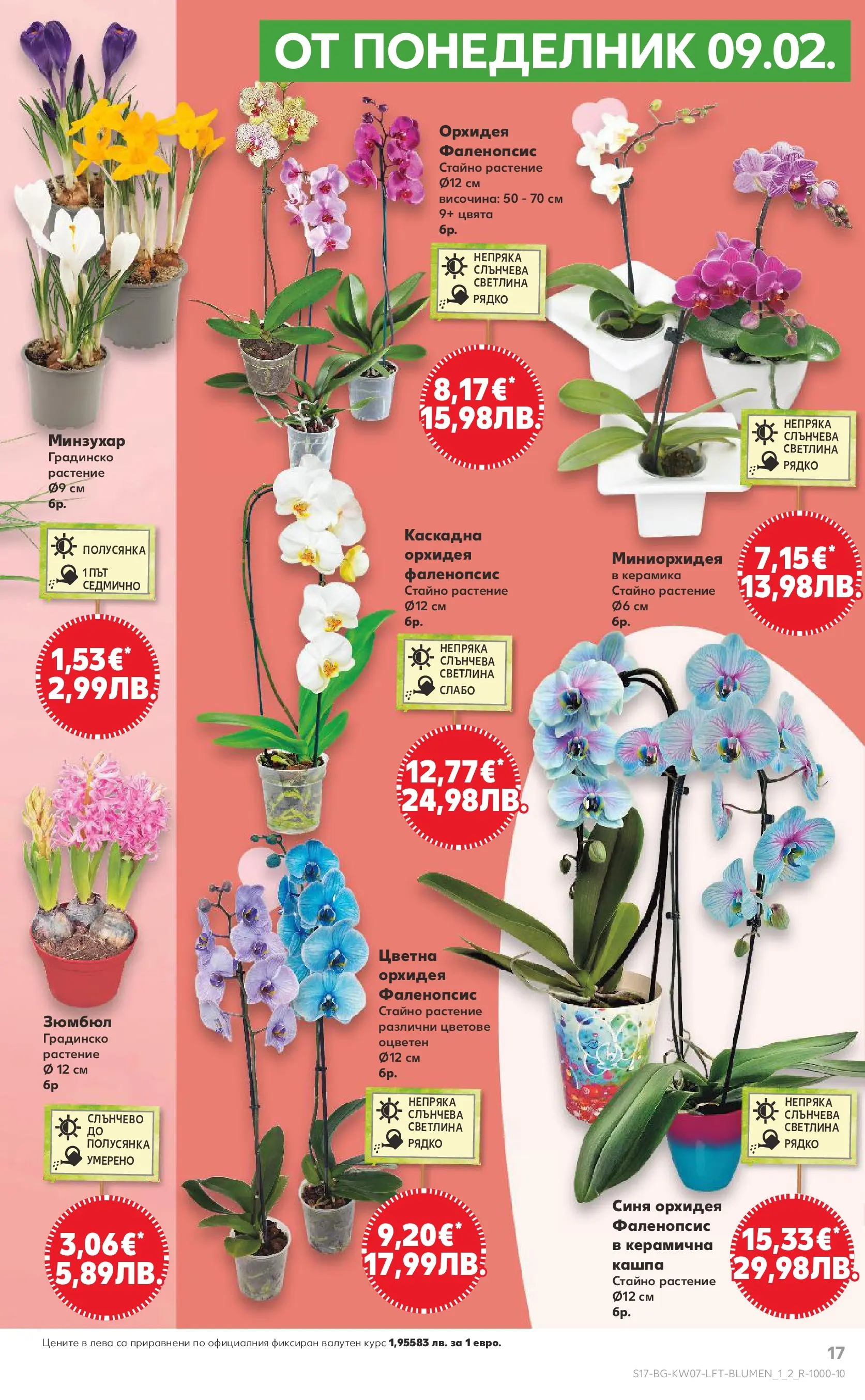 Нова Кауфланд - МЕГА оферти в твоя Kaufland с валидност до 15.02.2026 от 08.02.2026 | Страница: 17