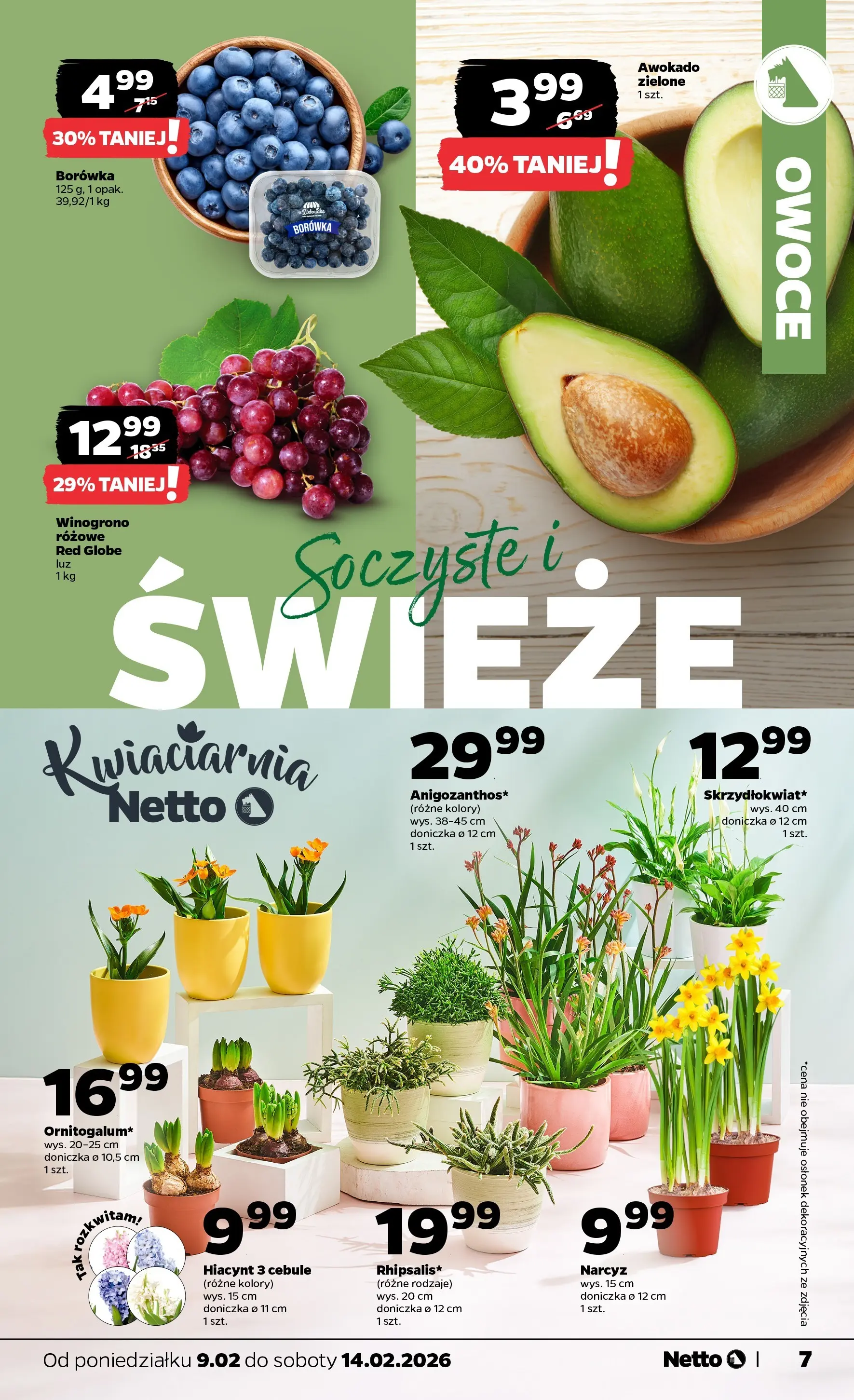 Netto - NETTO T07A ważne do 14.02.2026 od 08.02.2026 - Aktualne promocje | Strona: 7