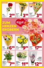 BILLA: Flugblatt g&uuml;ltig bei BILLA & BILLA PLUS