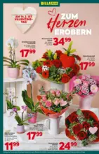 BILLA PLUS: Flugblatt Wien