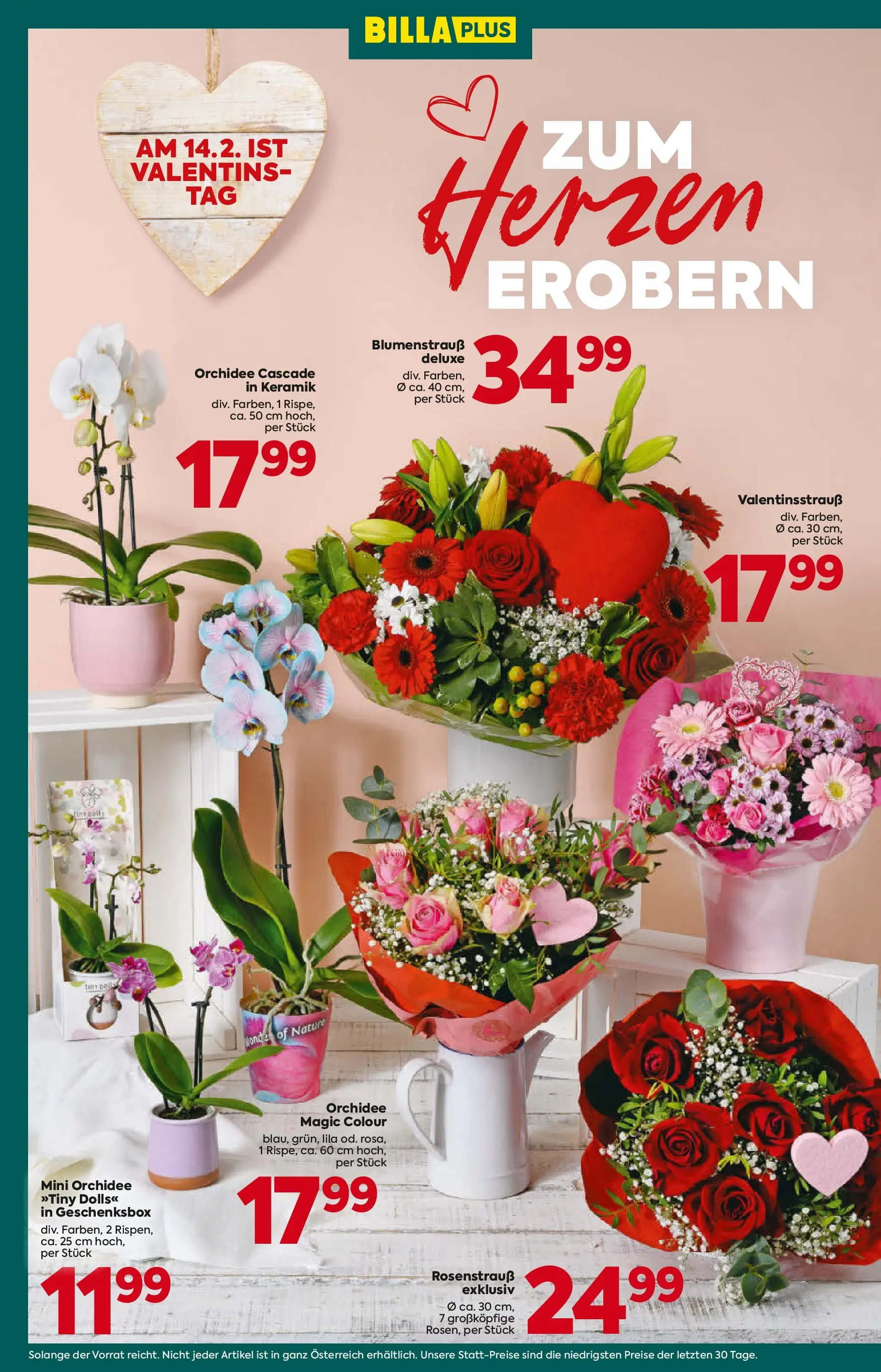 Billa Plus - BILLA PLUS: Flugblatt Wien von 11.02.2026 - Aktuelle Angebote | Seite: 2