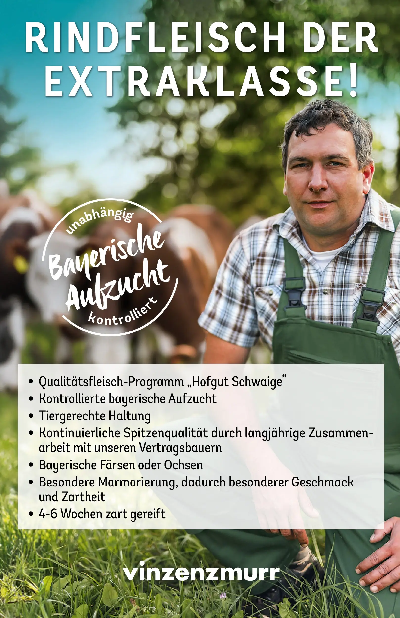 REWE Prospekt ab 09.02.2026 zum Blättern » Angebote | Seite: 15