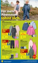 Lidl Lidl - ab 12.02.2026