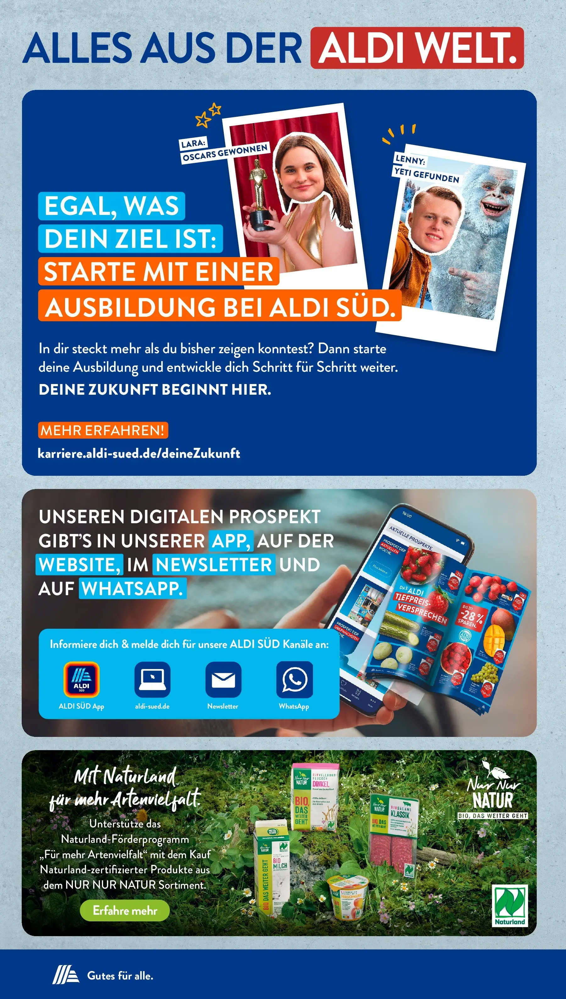 Aldi Süd - Aldi Süd: Wochenangebote (ab 15.03.2026) zum Blättern | Seite: 41 | Produkte: Milch