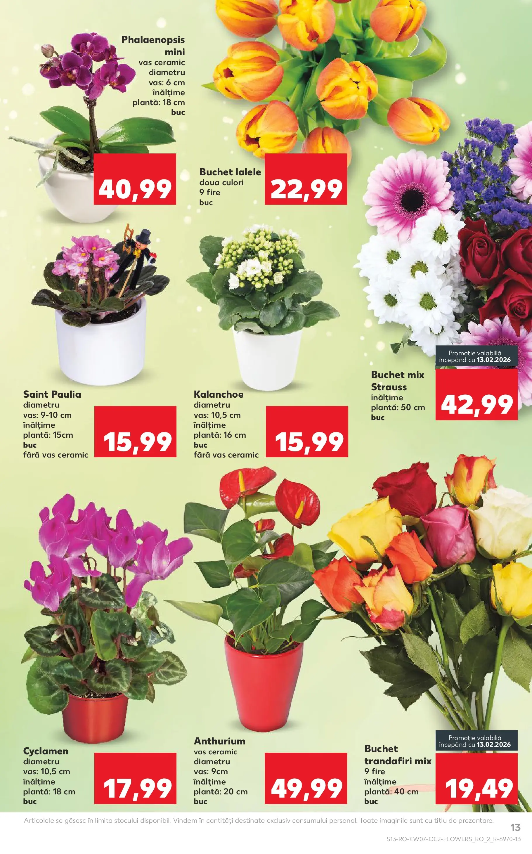 Catalog Kaufland - Codlea 11.02.2026 - Revista si Oferta | Pagină: 13