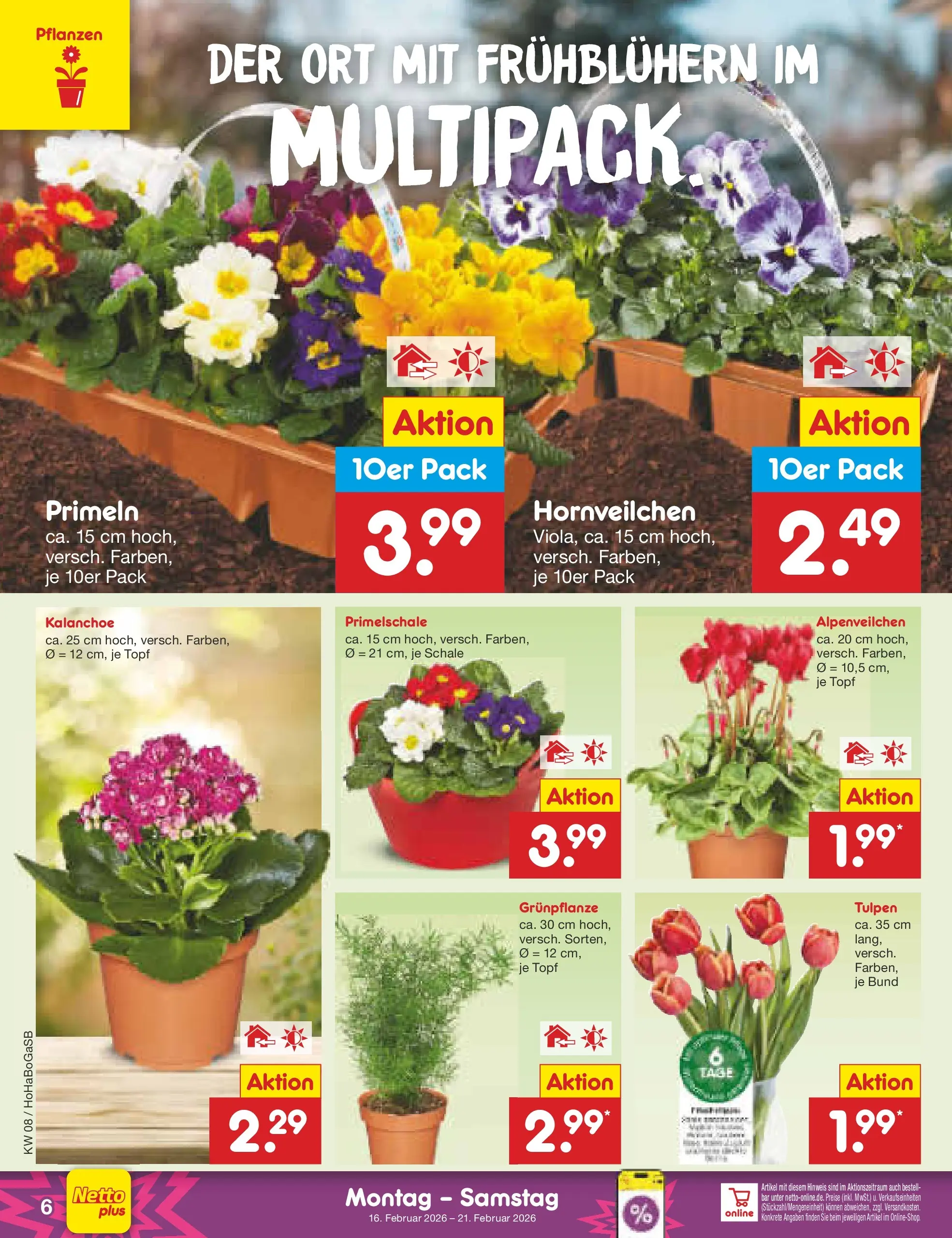 Netto Marken-Discount prospekt Stadtlohn	 (ab 15.02.2026) » Angebote | Seite: 6