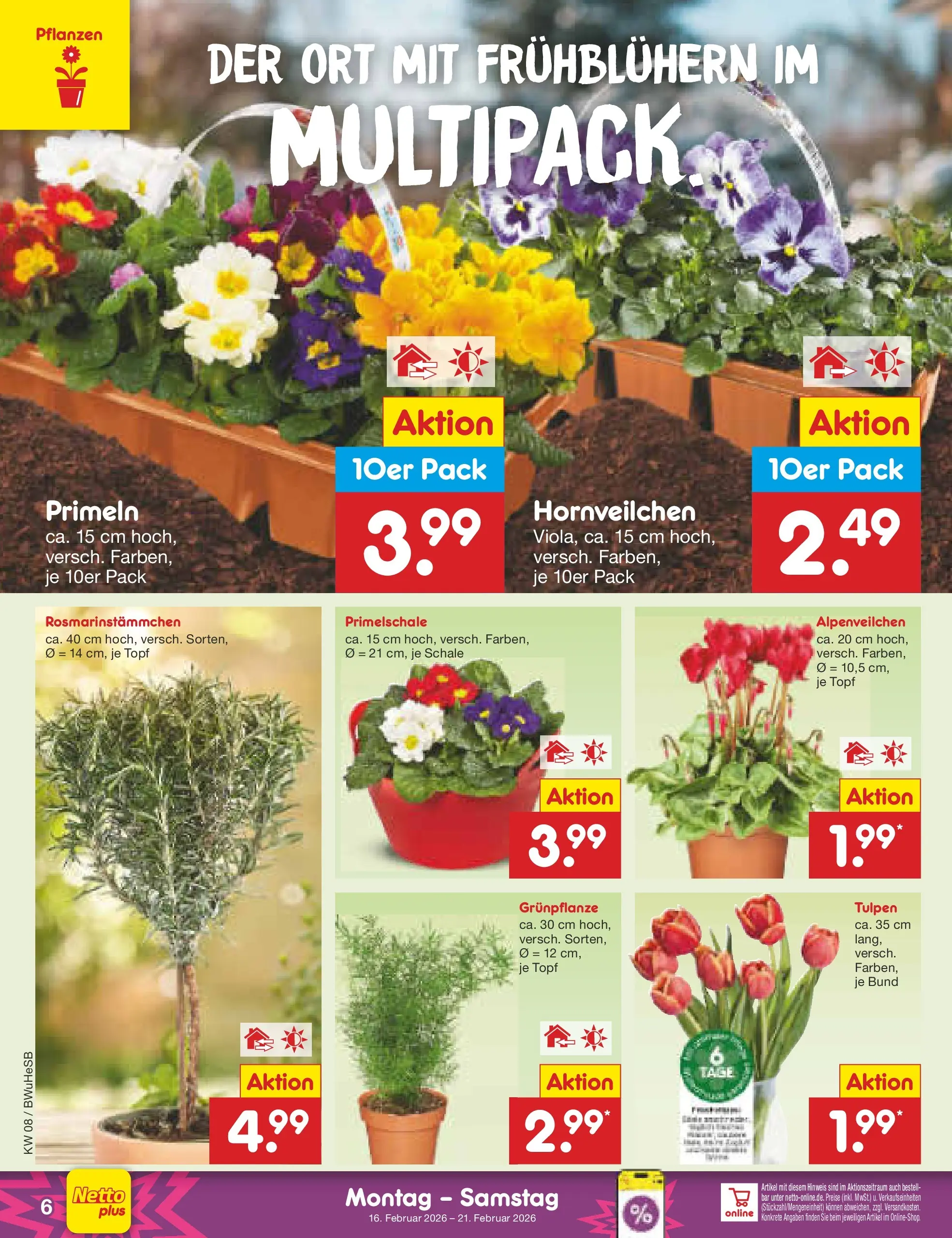 Netto Marken-Discount prospekt Stemwede-Dielingen	 (ab 15.02.2026) » Angebote | Seite: 6