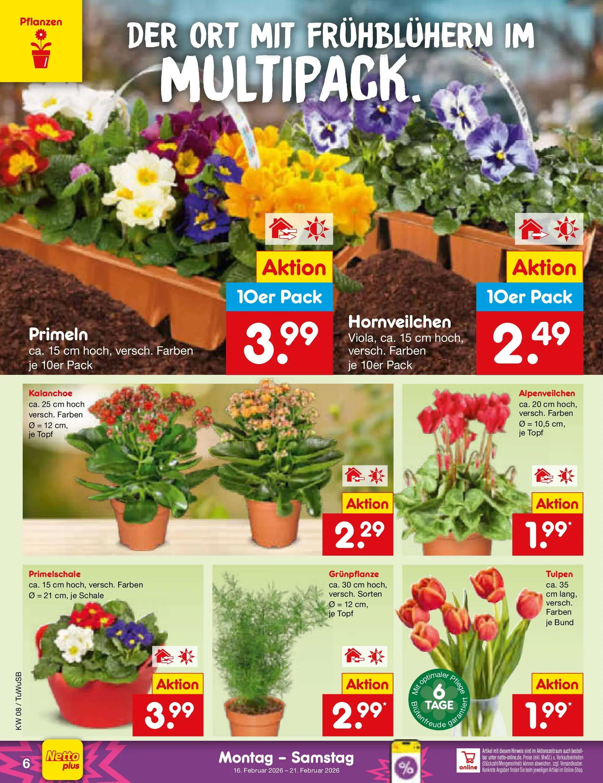 Netto Marken-Discount prospekt Calw-Stammheim	 (ab 15.02.2026) » Angebote | Seite: 6