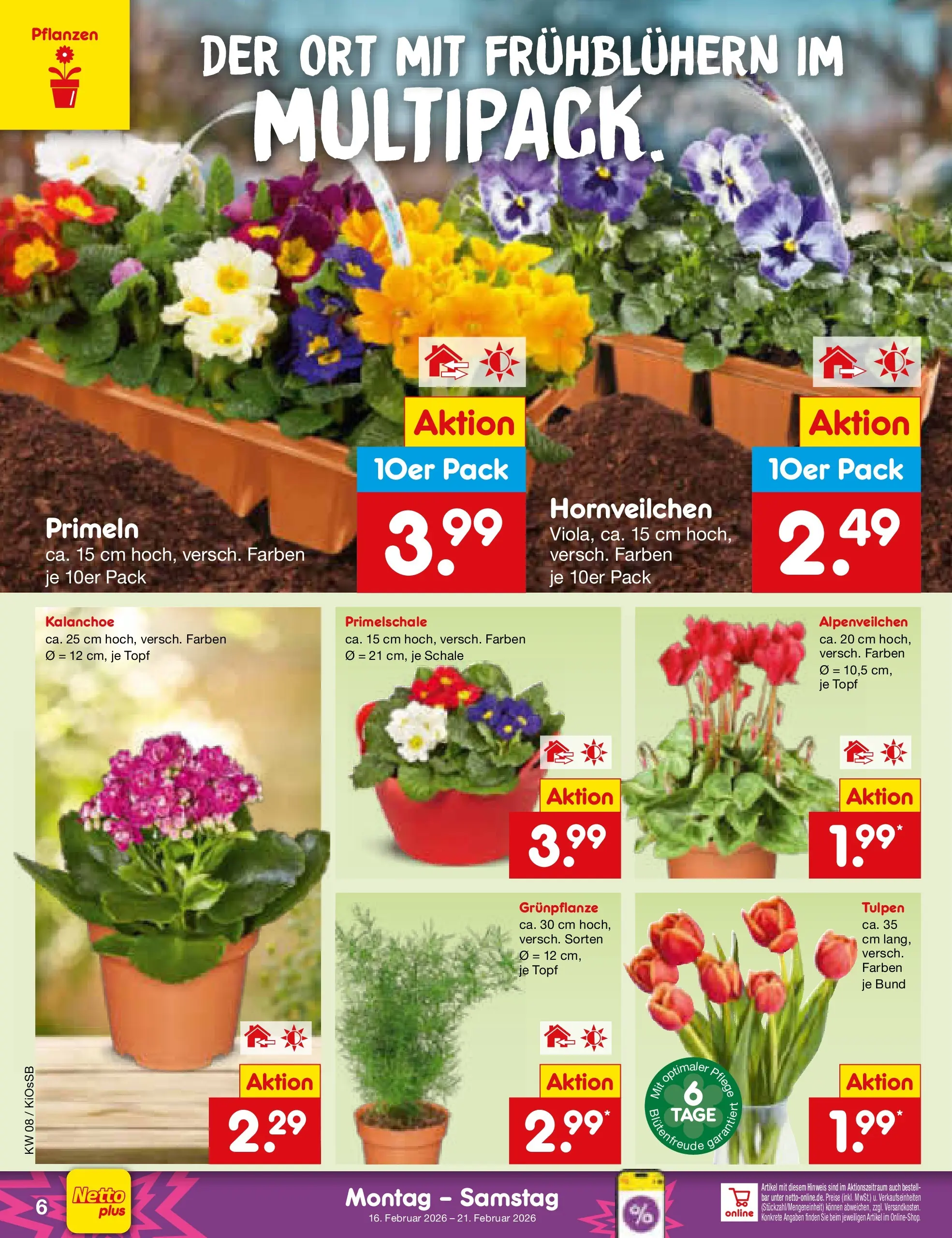 Netto Marken-Discount prospekt Oberhaid	 (ab 15.02.2026) » Angebote | Seite: 6