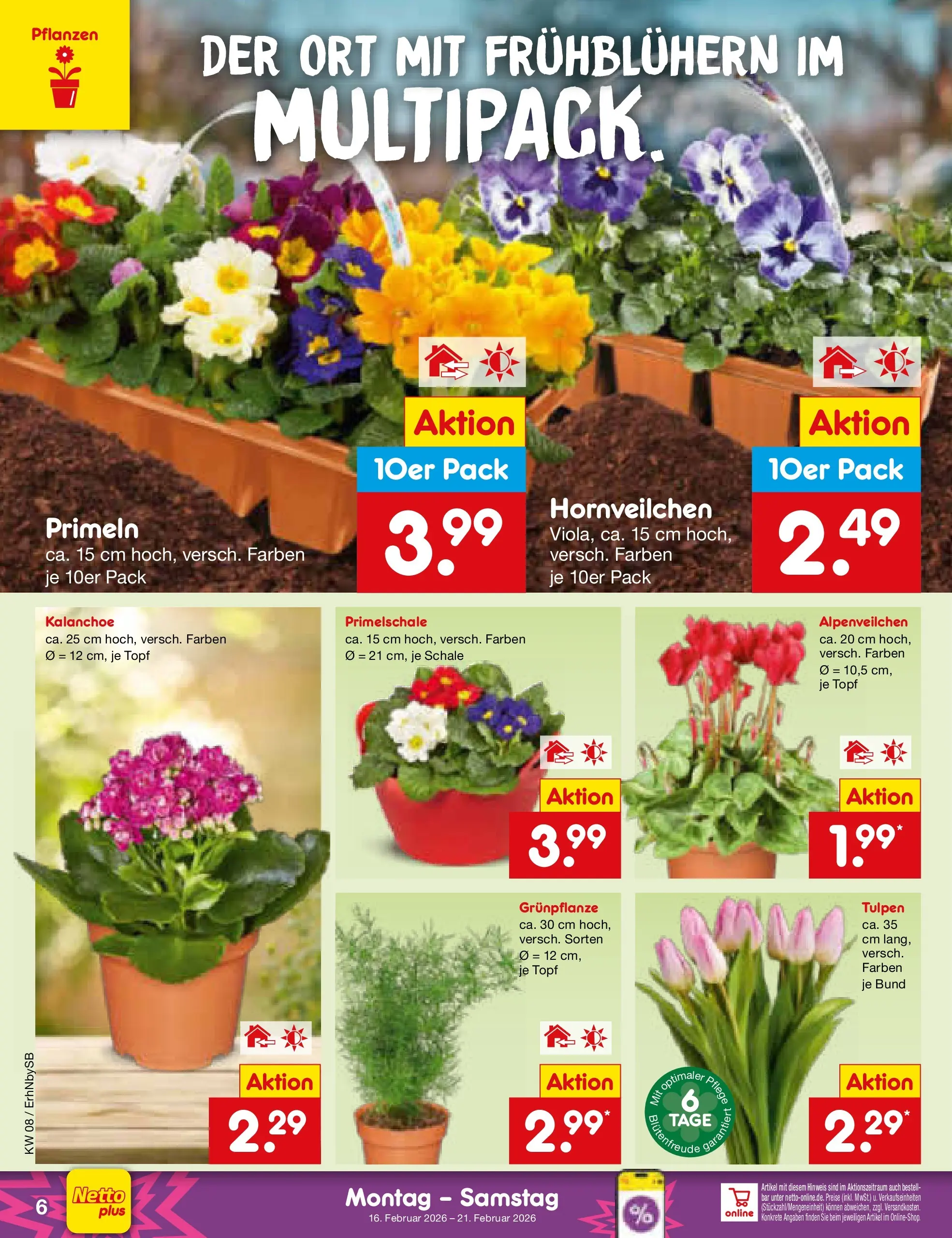 Netto Marken-Discount prospekt Metten	 (ab 16.02.2026) » Angebote | Seite: 6