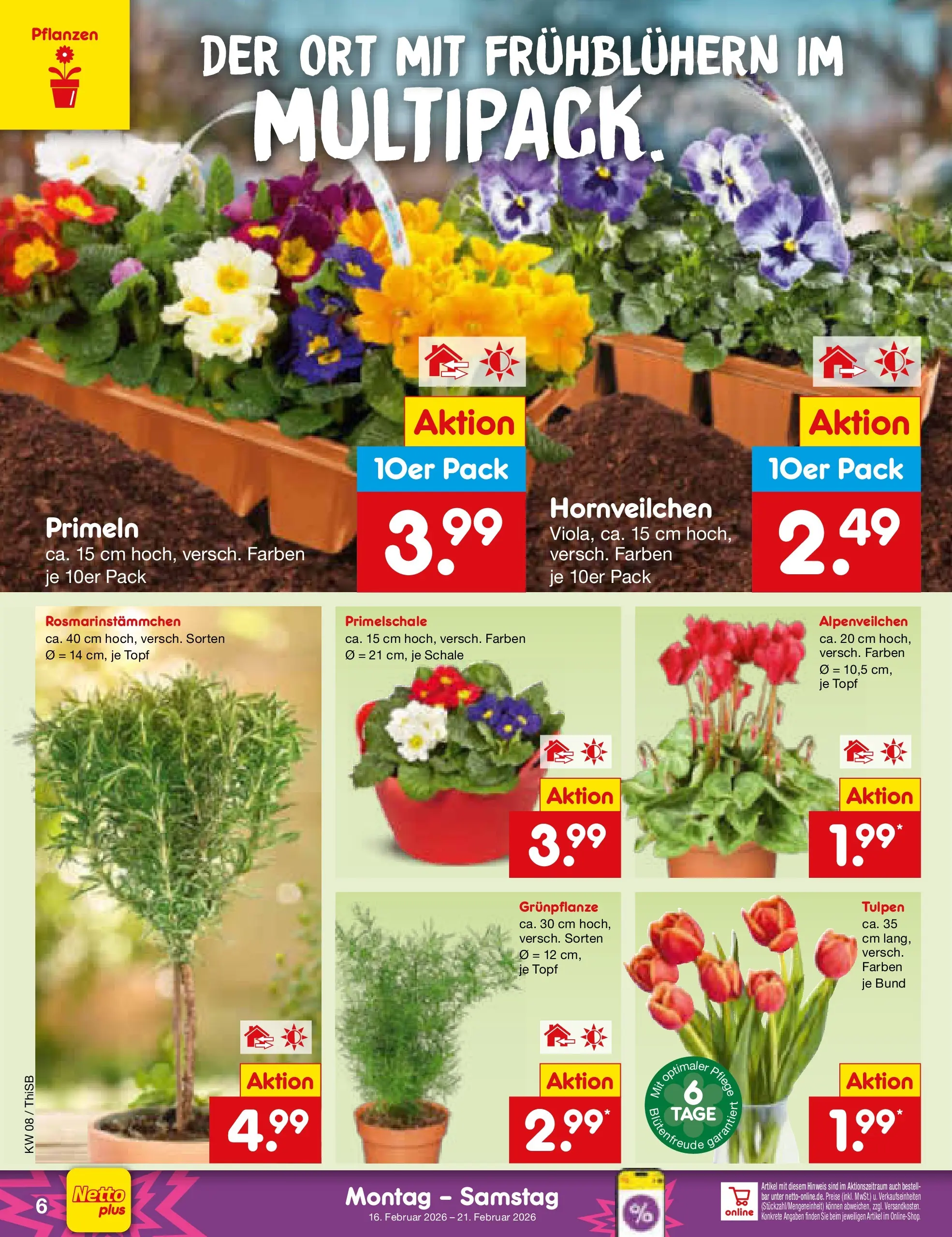 Netto Marken-Discount prospekt Pirna	 (ab 15.02.2026) » Angebote | Seite: 6