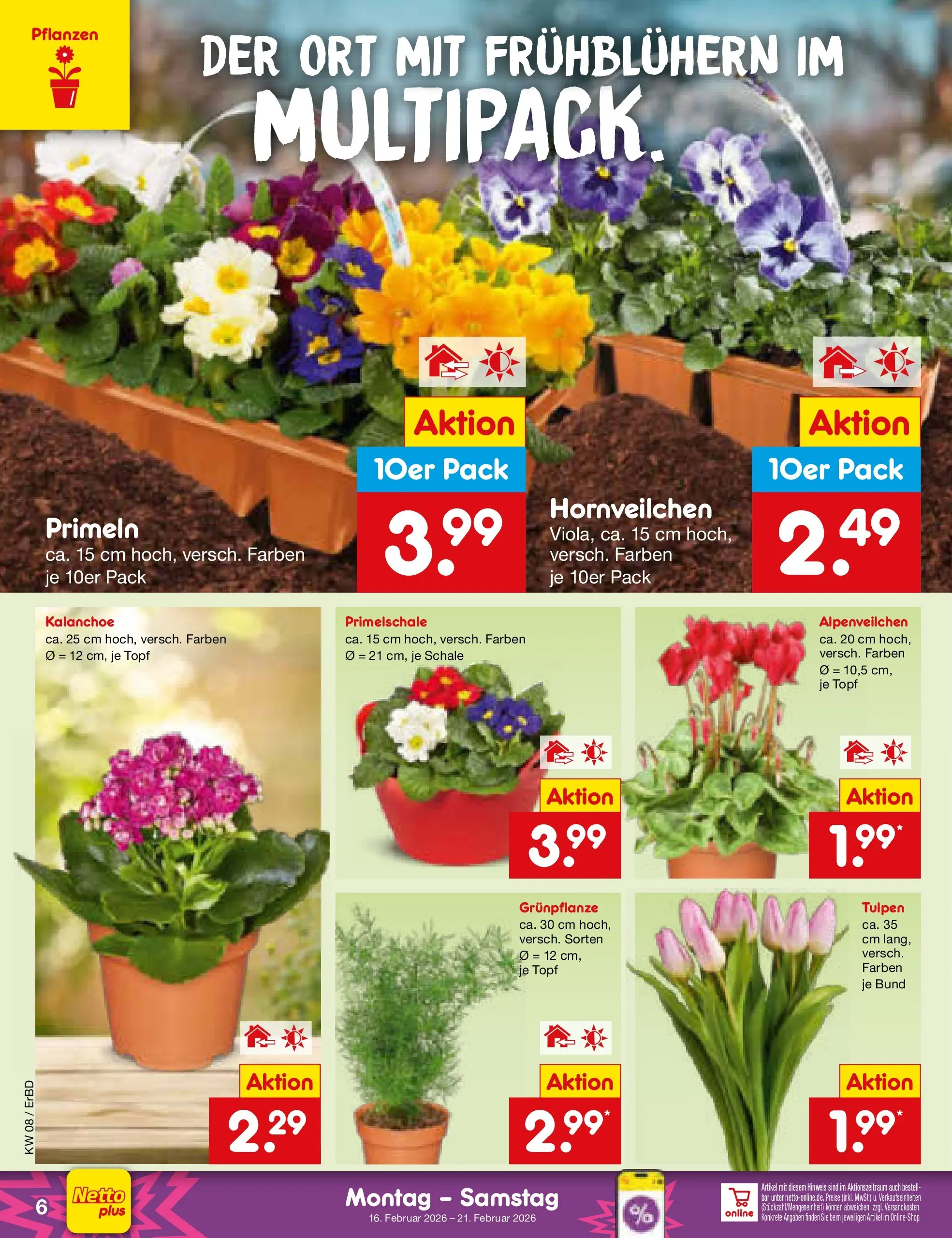 Netto Marken-Discount prospekt Jena-Lobeda	 (ab 16.02.2026) » Angebote | Seite: 6