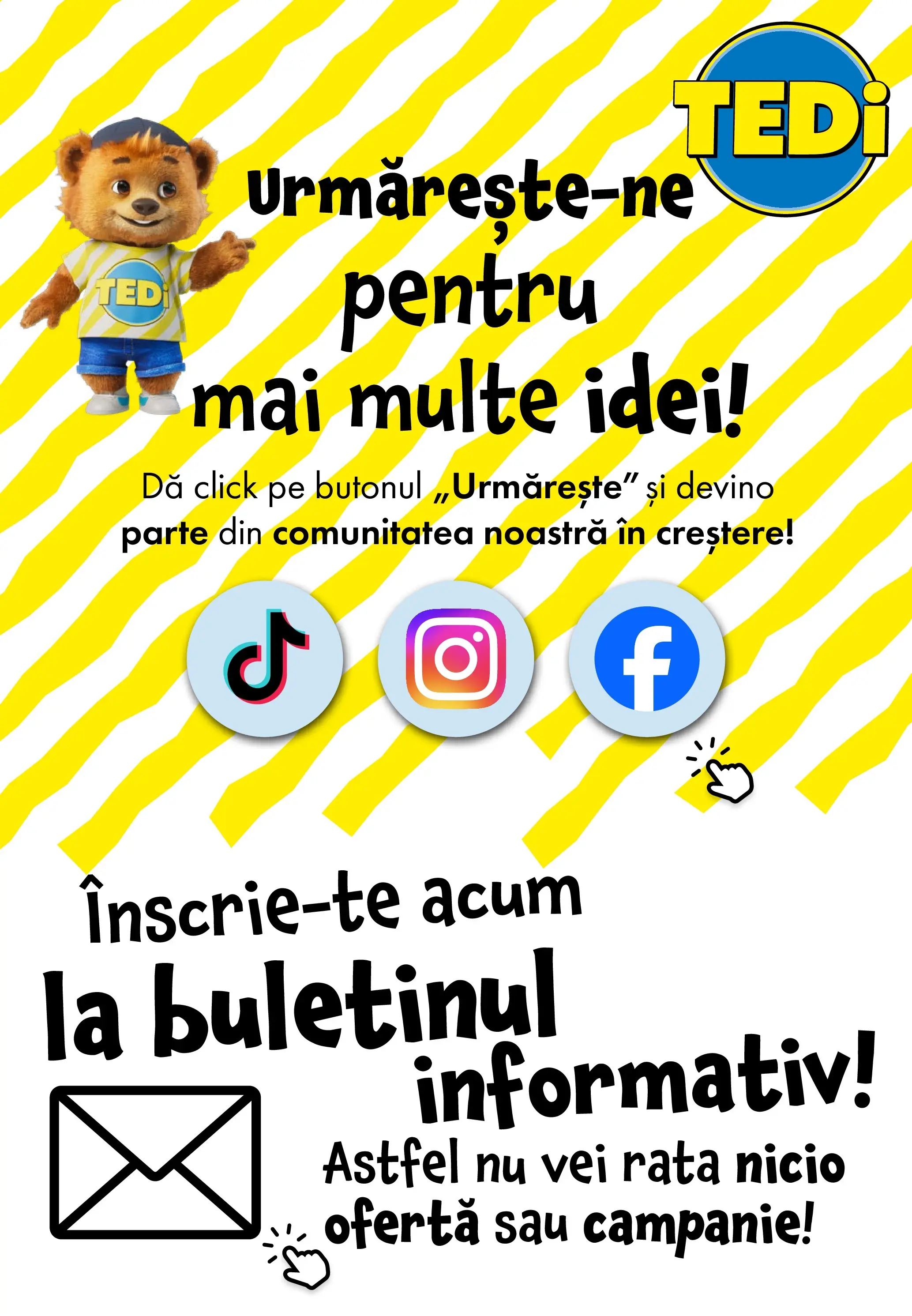 TEDi - Catalog TEDi până în data de 18.02.2026 - Oferta 11.02.2026 - 18.02.2026 | Pagină: 11