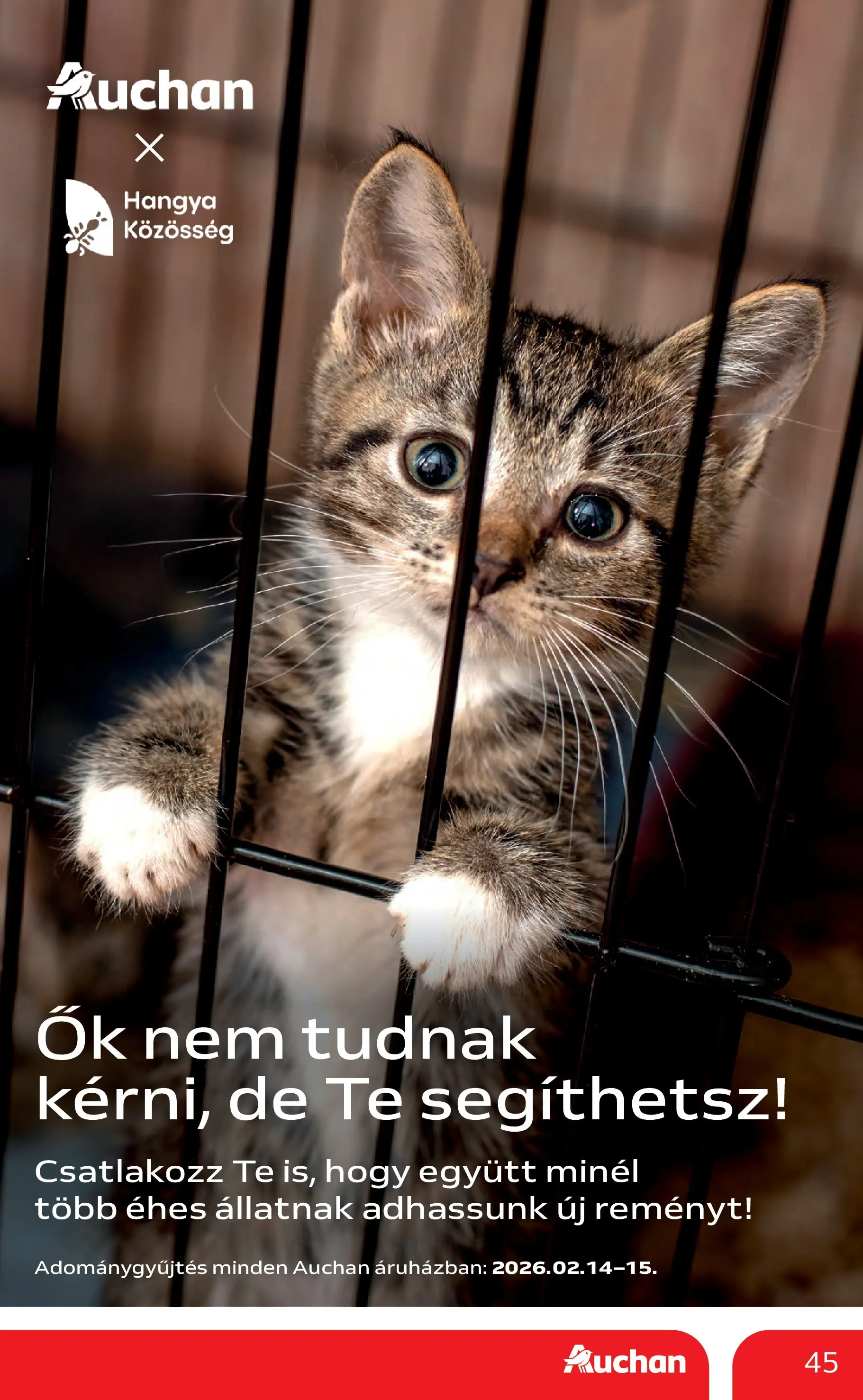 Auchan Akciós újság Miskolc - 2026.02.12. -tól/töl > akció, lapozható szórólap 🛍️ | Oldal: 45