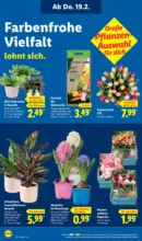 Lidl Lidl: Wochenangebote - ab 16.02.2026