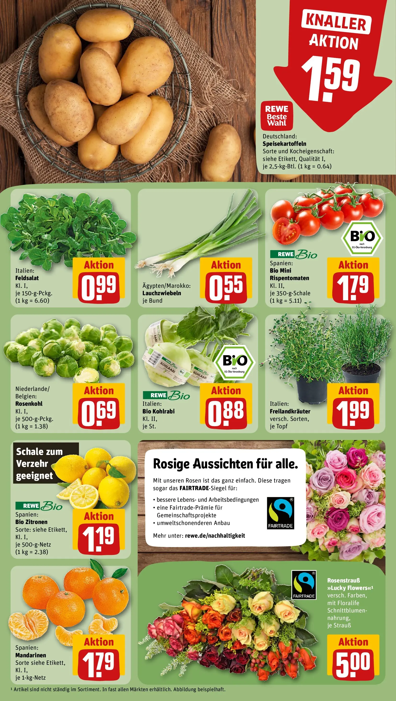 REWE Prospekt ab 16.02.2026 zum Blättern » Angebote | Seite: 11 | Produkte: Kohlrabi, Mandarinen, Zitronen