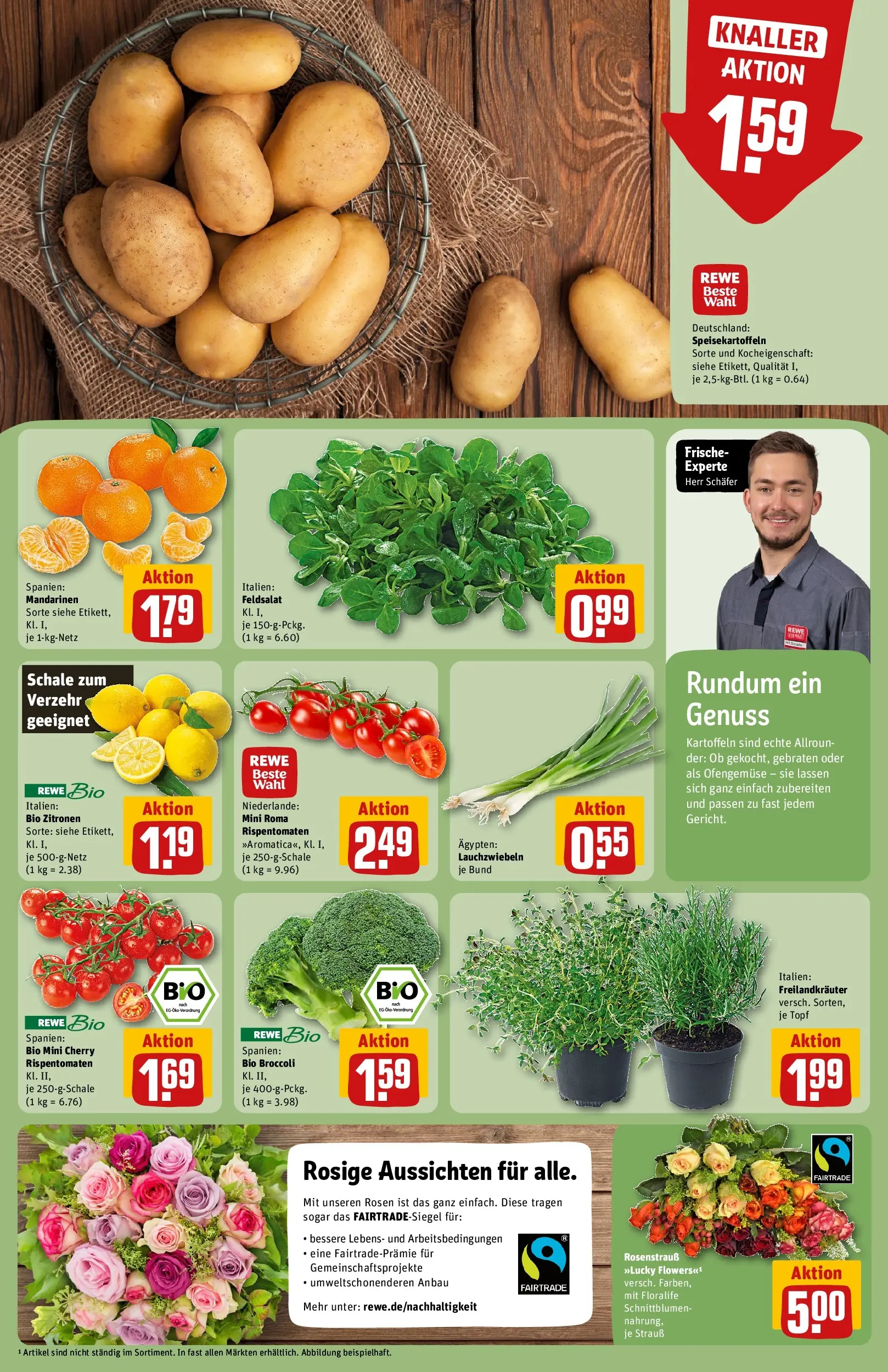 REWE Prospekt ab 16.02.2026 zum Blättern » Angebote | Seite: 11 | Produkte: Mandarinen, Kartoffeln, Zitronen