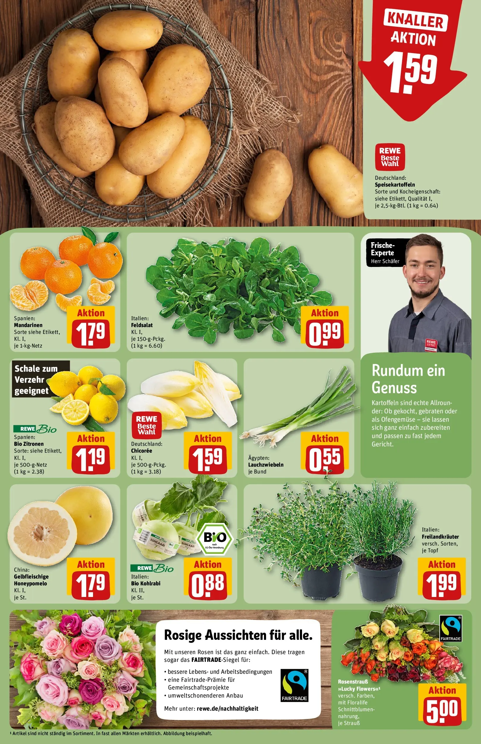 REWE Prospekt ab 16.02.2026 zum Blättern » Angebote | Seite: 11 | Produkte: Kohlrabi, Mandarinen, Kartoffeln, Zitronen