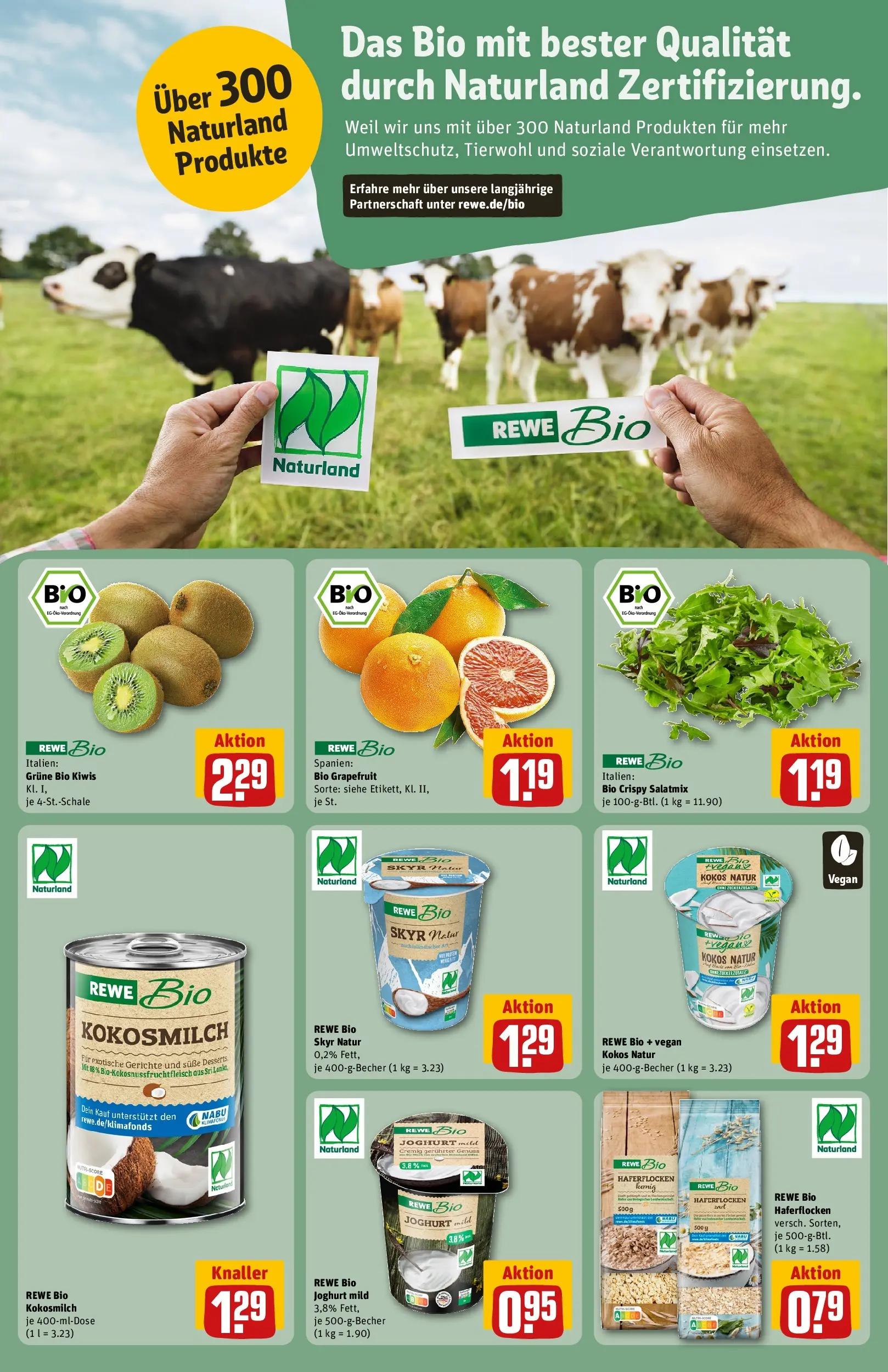 REWE Prospekt ab 16.02.2026 zum Blättern » Angebote | Seite: 22 | Produkte: Joghurt, Skyr, Grapefruit, Kiwi