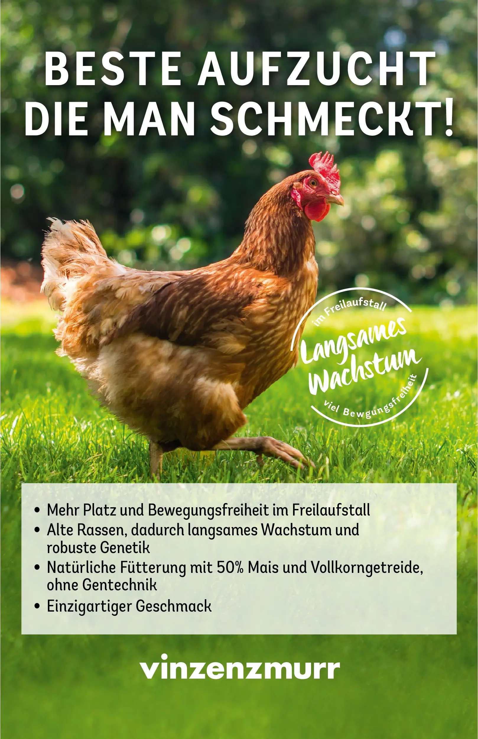 REWE Prospekt ab 16.02.2026 zum Blättern » Angebote | Seite: 15