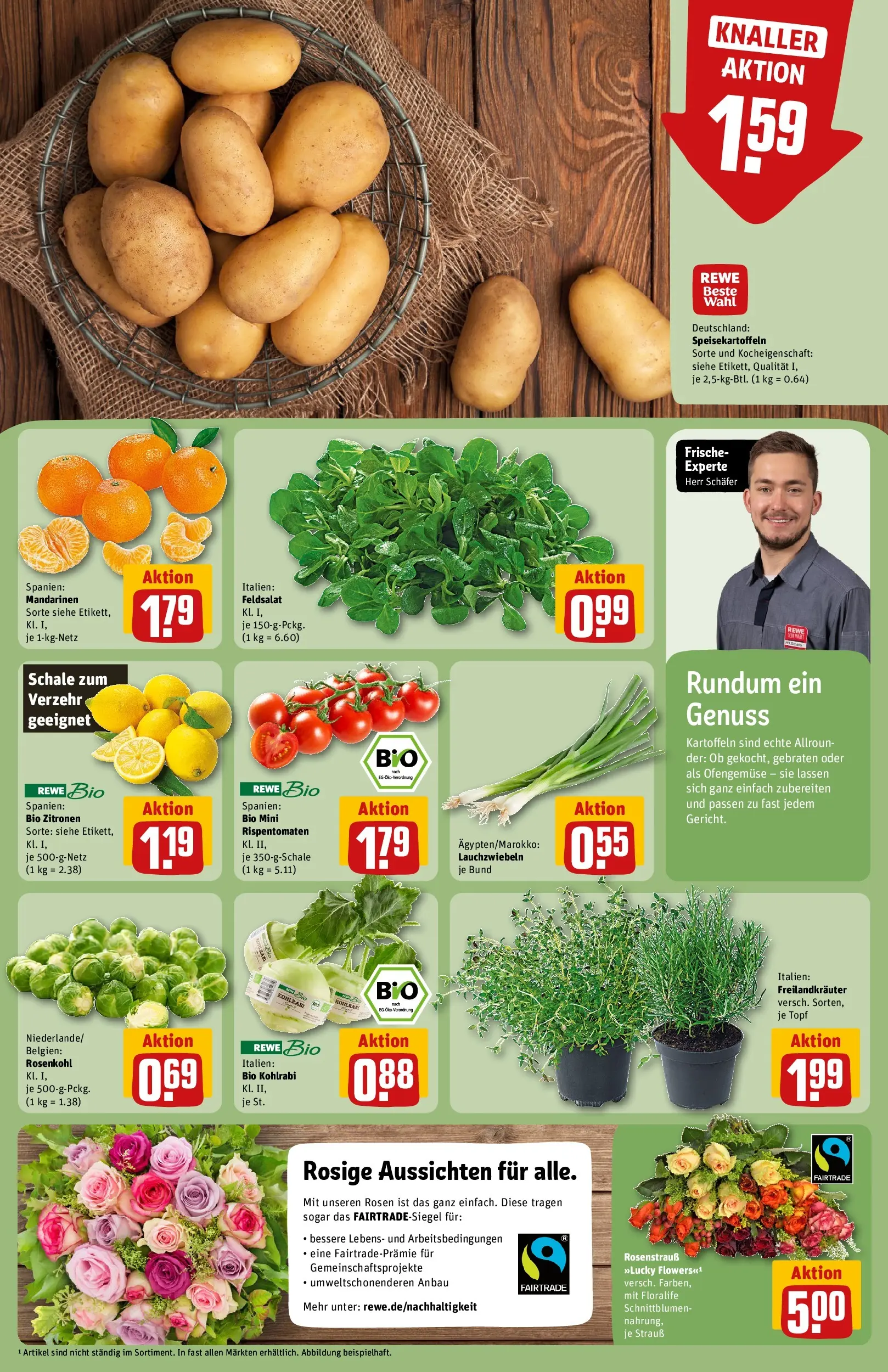 REWE Prospekt ab 16.02.2026 zum Blättern » Angebote | Seite: 11 | Produkte: Kohlrabi, Mandarinen, Kartoffeln, Zitronen