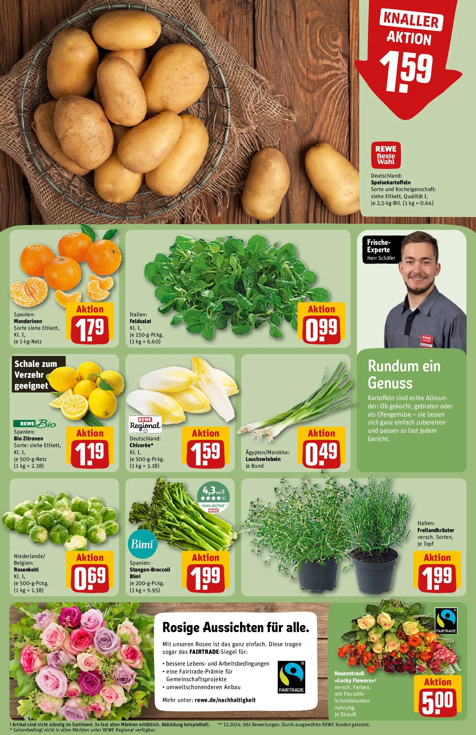 REWE Prospekt ab 16.02.2026 zum Blättern » Angebote | Seite: 13 | Produkte: Mandarinen, Kartoffeln, Zitronen