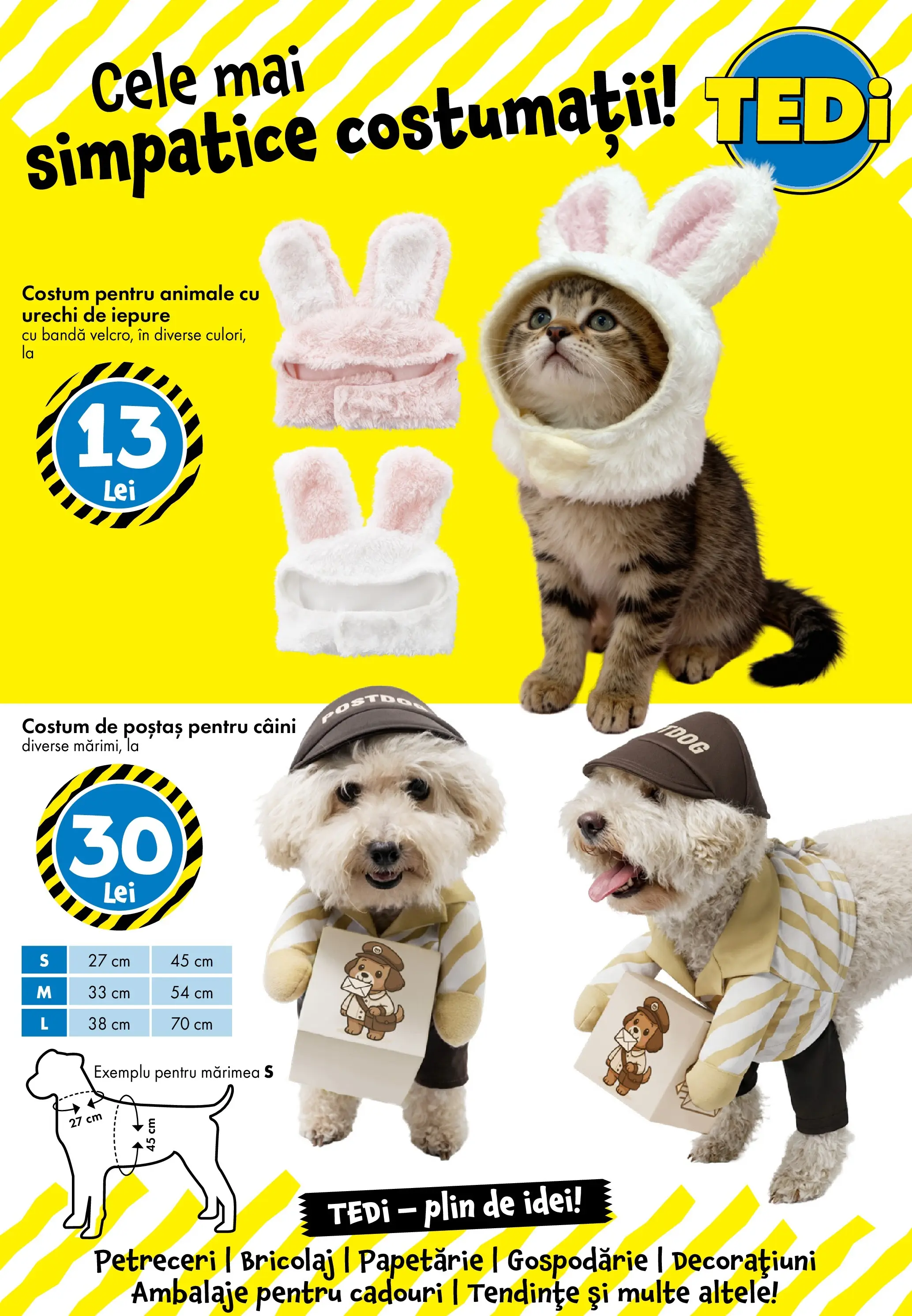 TEDi - Catalog TEDi până în data de 21.02.2026 - Oferta 11.02.2026 - 21.02.2026 | Pagină: 13