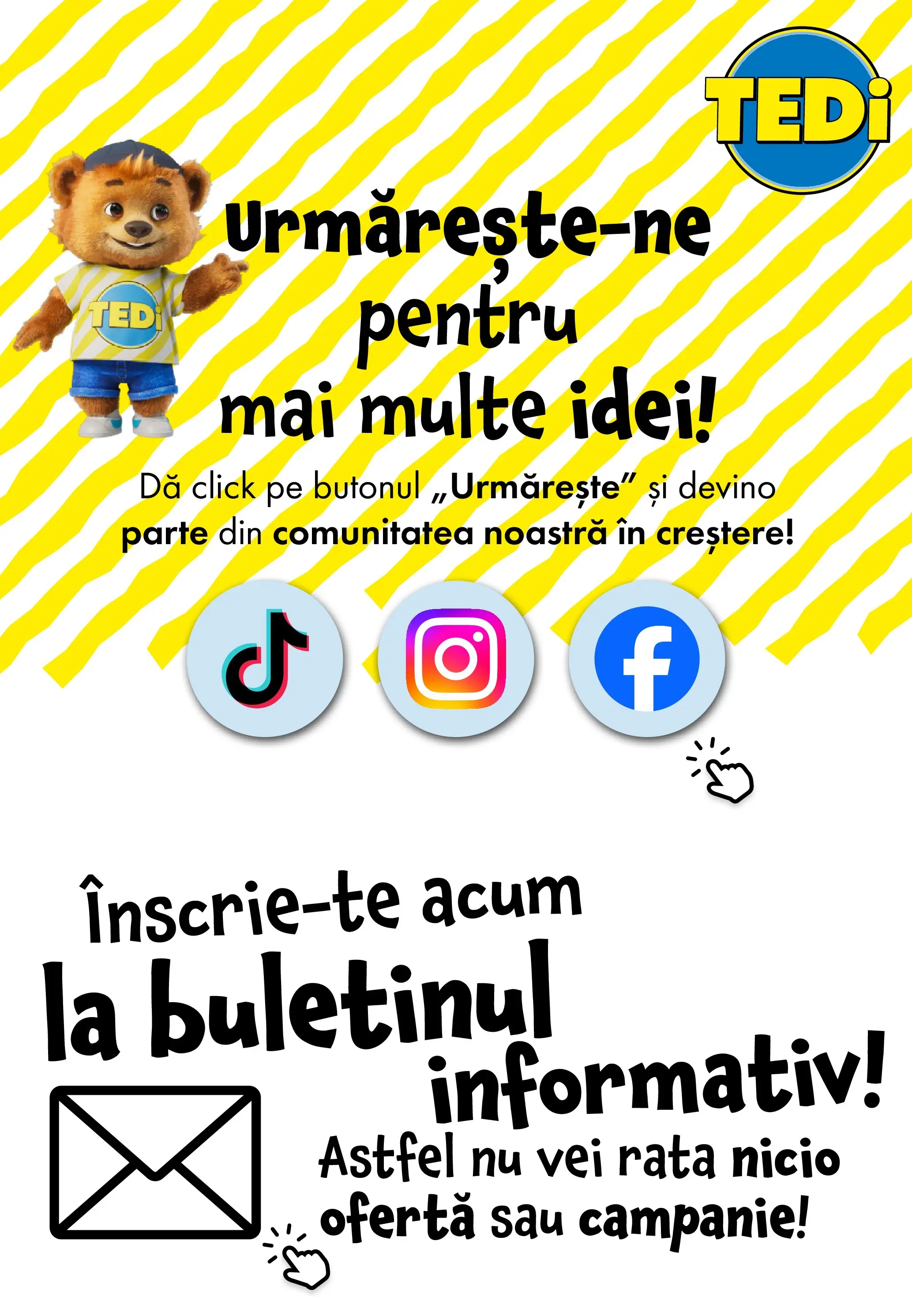 TEDi - Catalog TEDi până în data de 21.02.2026 - Oferta 11.02.2026 - 21.02.2026 | Pagină: 14