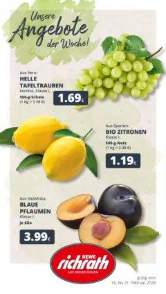 Rewe prospekt Bergheim ab 16.02.2026 gültig Rewe prospekt Bergheim ab 16.02.2026 gültig