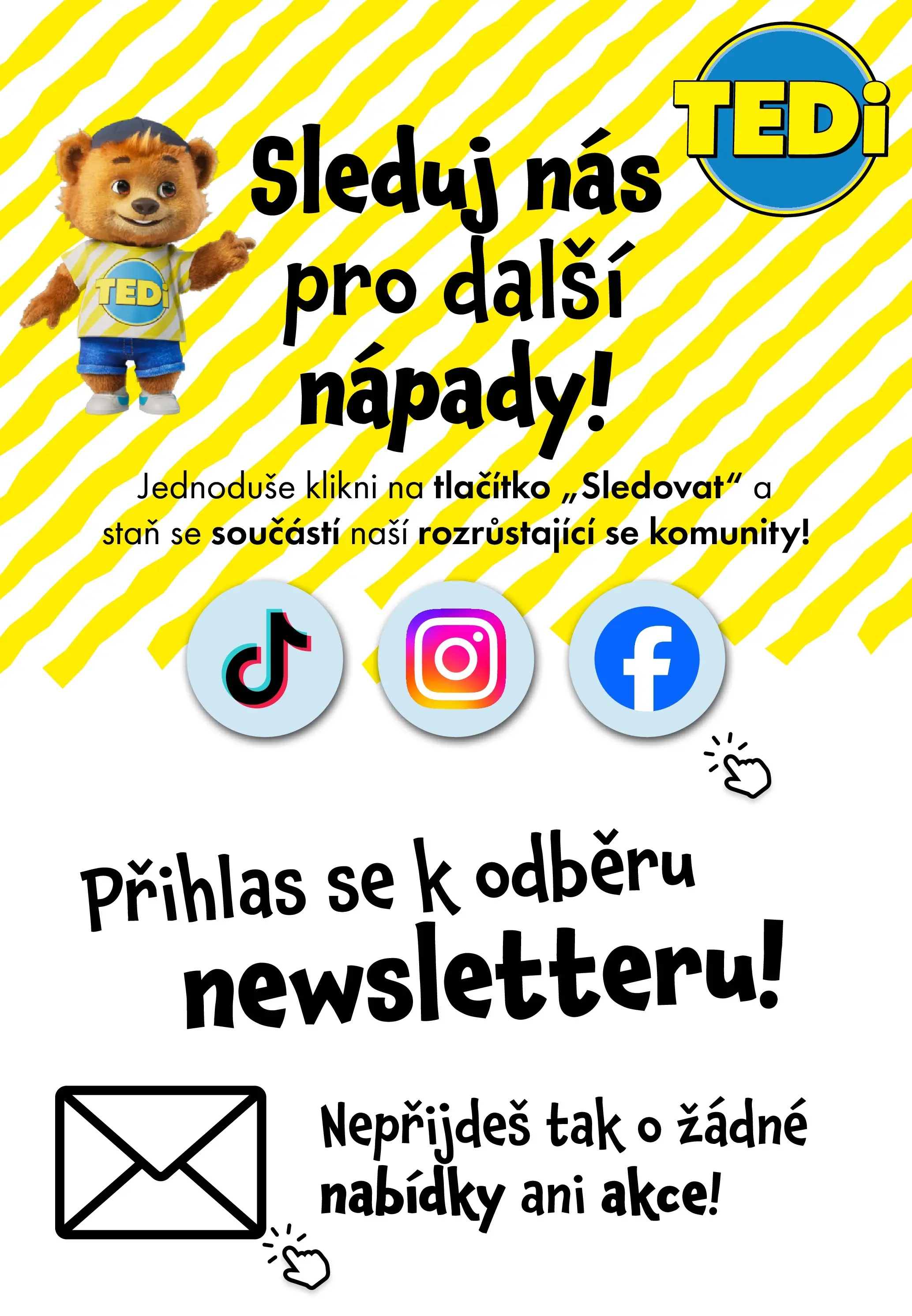 TEDi - TEDi leták do 21.02.2026 od 11.02.2026 - akční nabídka | Strana: 13