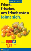 Lidl Lidl - ab 19.02.2026