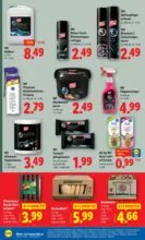 Lidl Lidl - ab 19.02.2026