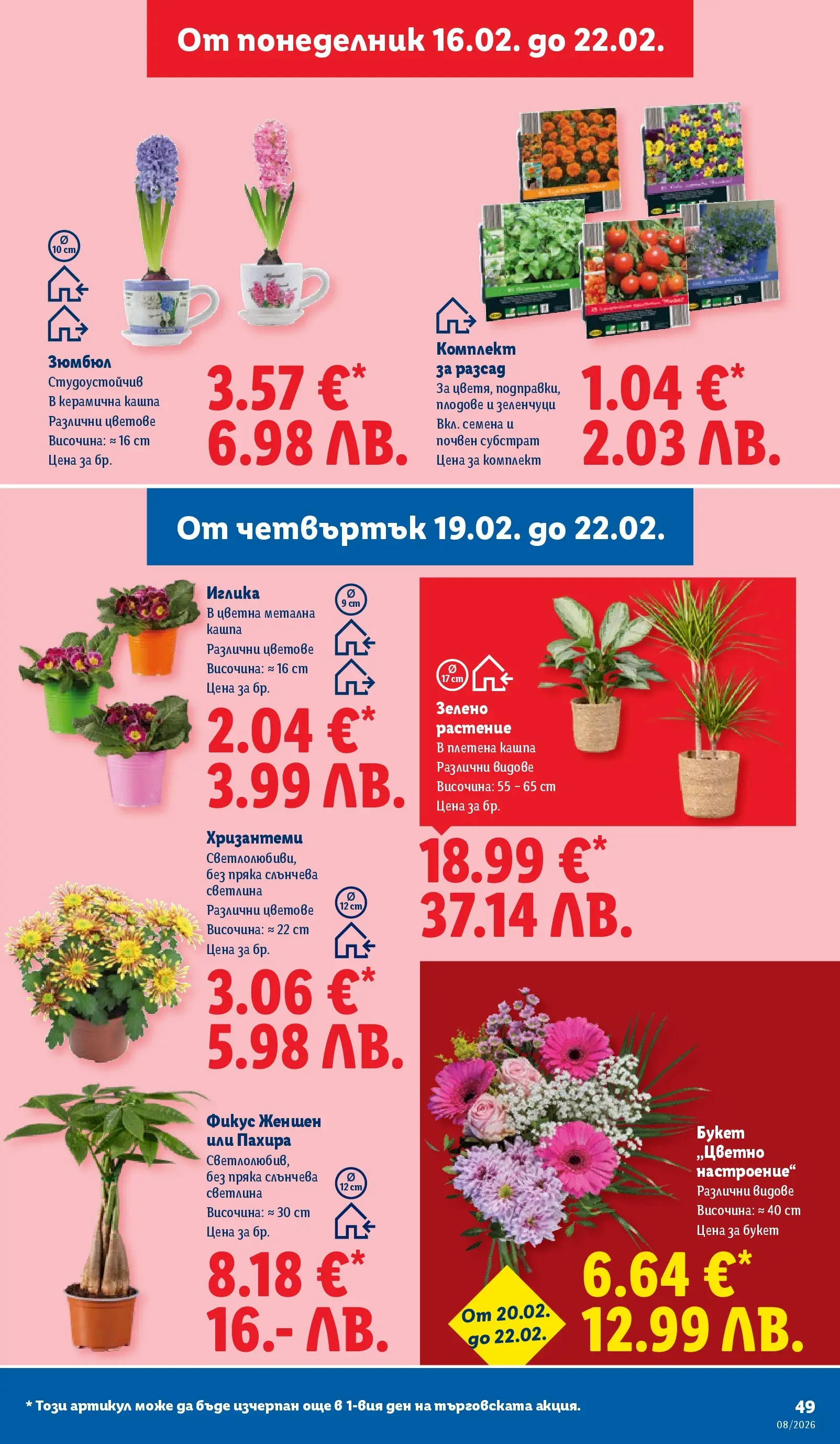 Лидл - Апетитни предложени в белгийски и нидерландски стил в ЛИДЛ с валидност до 22.02.2026 от 15.02.2026 | Страница: 49