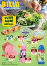 Billa Billa Katalog Svěž&iacute; jarn&iacute; nab&iacute;dka &ndash; do 03.03.2026