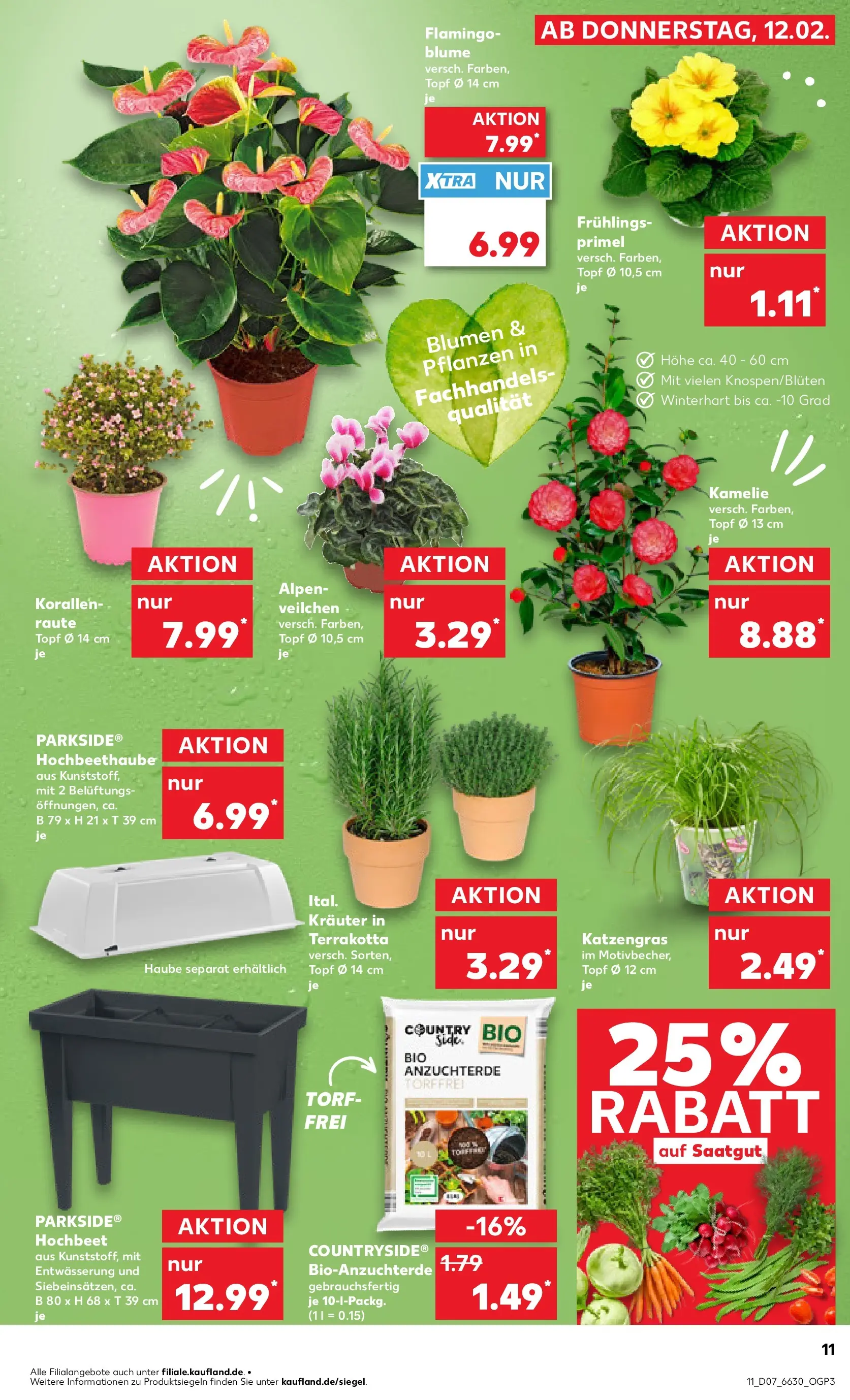 Prospekt Kaufland ab 16.02.2026 » Angebote Online zum Blättern | Seite: 11 | Produkte: Hochbeet, Blumen
