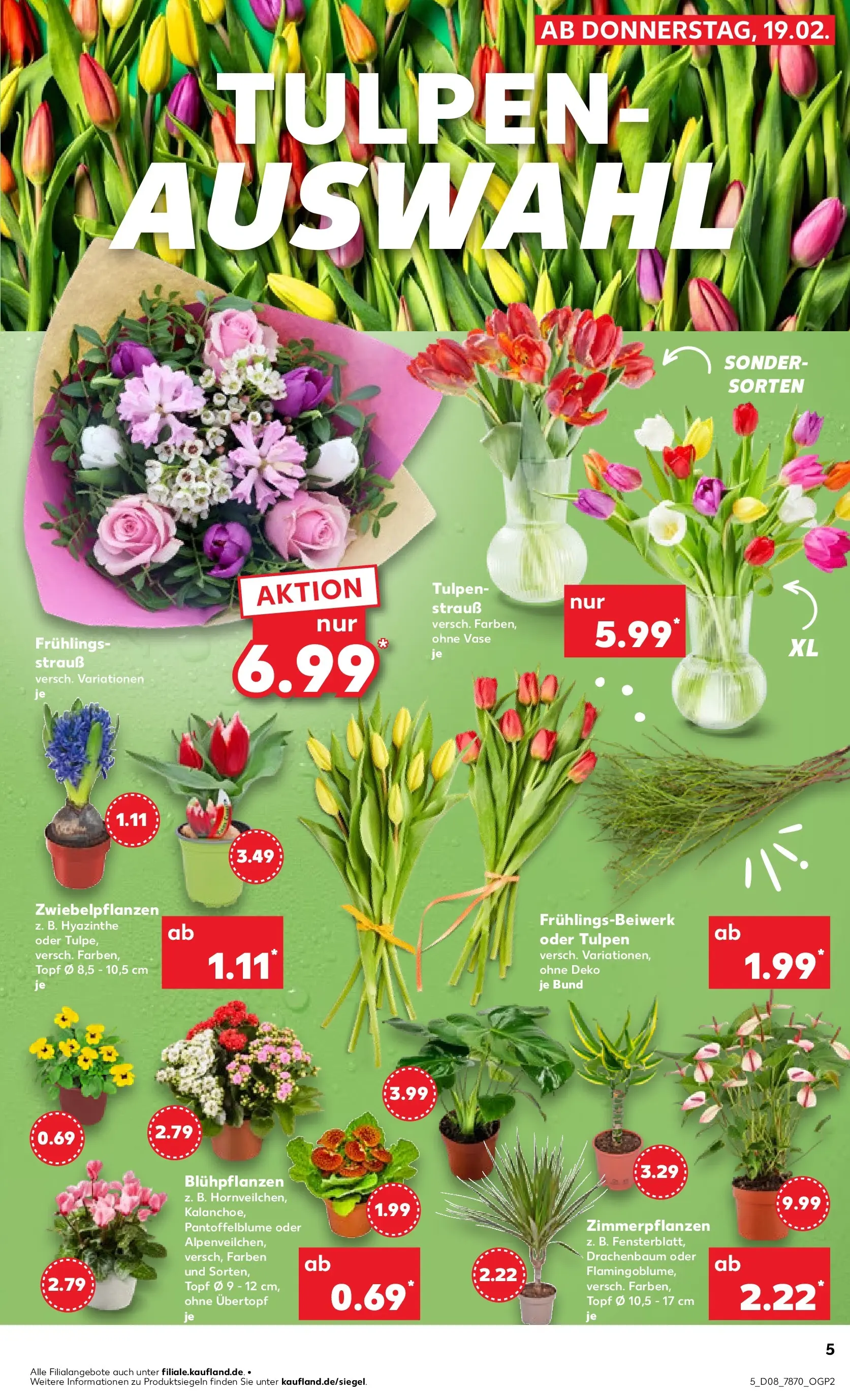 Prospekt Kaufland ab 19.02.2026 » Angebote und Werbung Online | Seite: 17 | Produkte: Vase Prospekt Kaufland ab 19.02.2026 » Angebote Online zum Blättern | Seite: 17 | Produkte: Vase