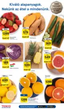 Tesco &uacute;js&aacute;g &eacute;rv&eacute;nyess&eacute;ge 2026.02.18-ig